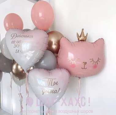 Композиция из шаров "Выписка с розовым котиком мини" фото