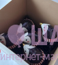 Композиция из шаров с коробкой "Пингвинята" 