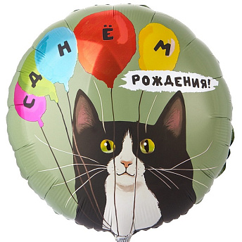 Фольгированный круг "Кот и воздушные шары"