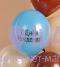 Воздушные шары "С Днем Рождения! Сердитая кошка"