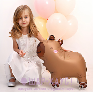 Фольгированная фигура AIR "Капибара на колесиках" фото