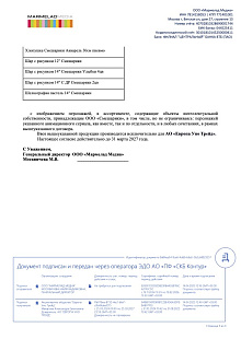 Сертификат Смешарики 3