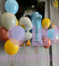 Композиция из шаров "Гусик" 