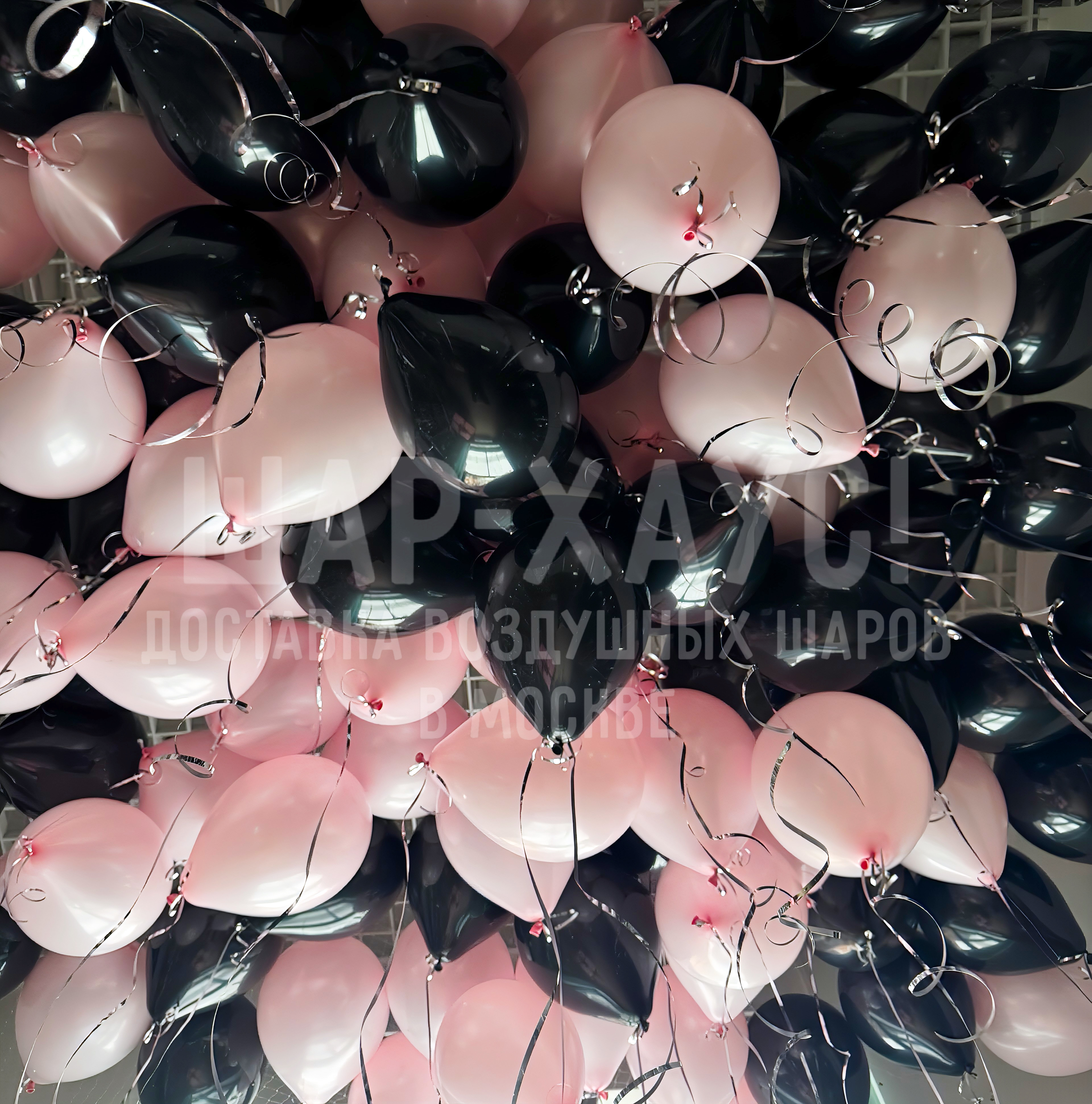 Шары с гелием под потолок "Черная роза"