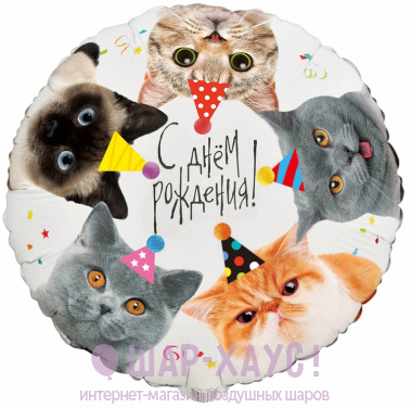 Фольгированный круг "Котики С ДР" фото