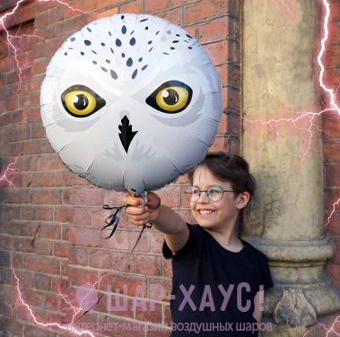 Фольгированный круг "Полярная сова" фото