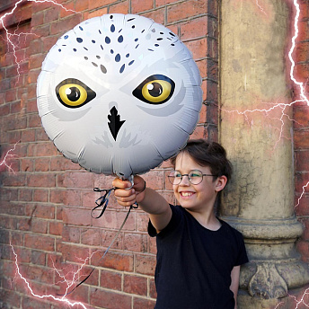 Фольгированный круг "Полярная сова"