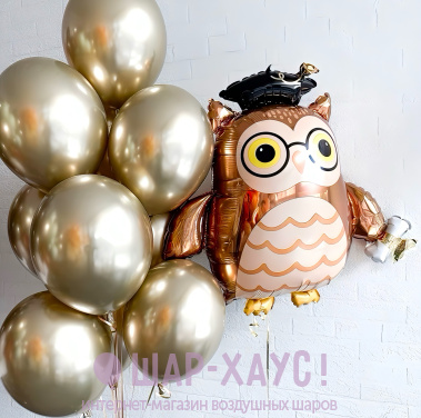 Композиция из шаров "Золотая сова"  фото