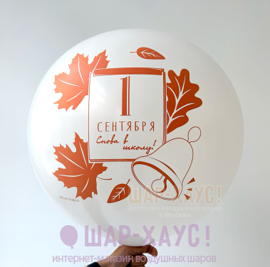 Шар-гигант с двусторонним рисунком "1 сентября" фото