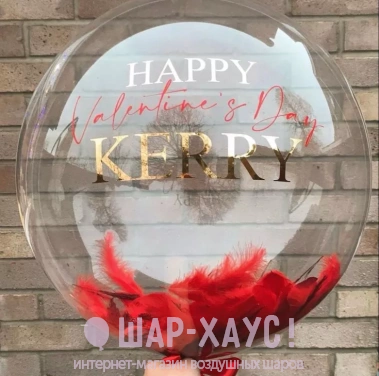 Прозрачный шар Бабл с красными перьями "Happy Valentine's day!" фото