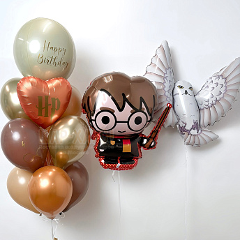 Композиция из шаров "Гарри Поттер в теплых оттенках"